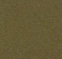 Pesto