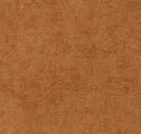 Nutmeg