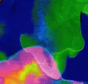 Psychedelic
