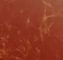 Ember