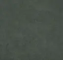 Carbon