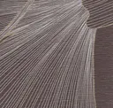 Cocoa Palm