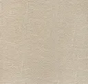 Natural Raffia