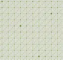Wasabi