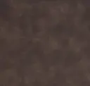 1004
