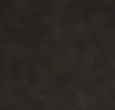 1006