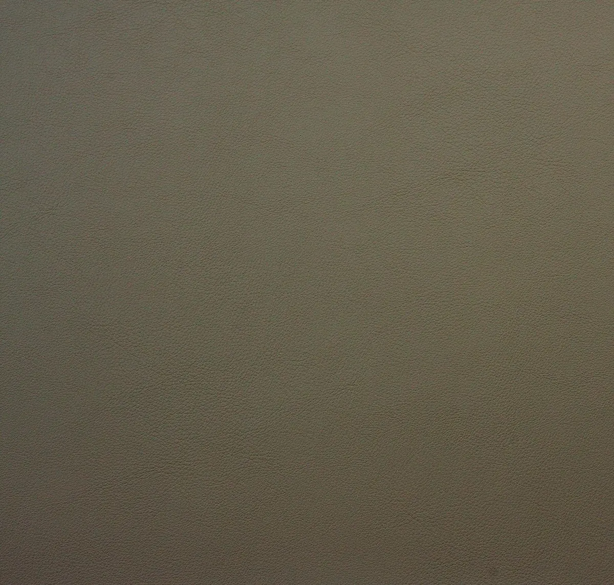 Main