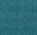 Aquila