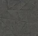 Charcoal