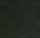 Pine