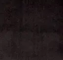 Ebony