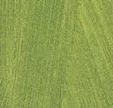Fct103-141 Lime