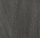Fct119-13 Onyx