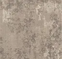 Gnd219-13-218 Beech