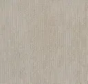 Ctn 236 Zirconium