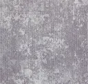 Gnd238-131-242 Bluebell