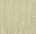 Ctn 18 Gold
