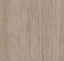 Conifer