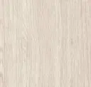 Poplar
