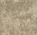 Elt218-254-21 Morel