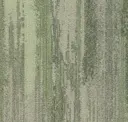 Glc62 Gypsum