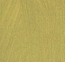 Fct103 Citrus