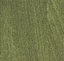 Fct88-141 Forest
