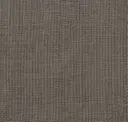 Ctn 145 Rhodium