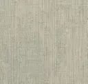 Ctn 207 Scandium