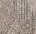Lnd261-13 Scallop