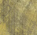 Lnd69-231 Grain
