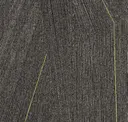 Fca141-79 Anthracite/lime