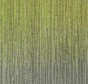 Hst62/174-108 Broad Bean/grey Willow