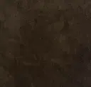 Rich Brown