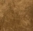 Golden Mustard