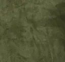 Cacti