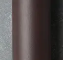 Cocoa