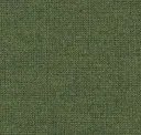 Alfalfa