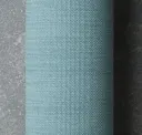 Duck Egg