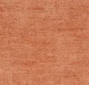 Burnt Orange