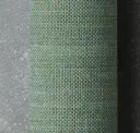 Seagrass