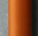 Marigold