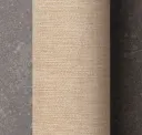 Biscuit