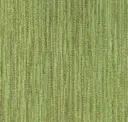 Hsk 141 Pea Shoot