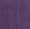 Lln66 Violet