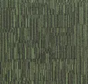 Lln88-141 Fern