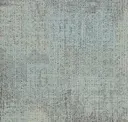 Dst13-139 Domain