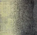 Dtr13-103/13-119 Cultivation/urban Myth