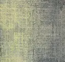 Dtr13-103/13-173 Cultivation/ombre