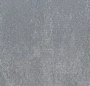 Gln153 Grey Moss